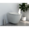 Унитаз Vitra Sanibelle 7551B003-0075, подвесной, безободковый