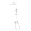 Душевая система с изливом RUSH Тира (Thira) (TR3635-50White)