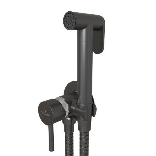 Смеситель с гигиенической лейкой 25k MIXLINE МЛ31-081Г(ML31-081GR) 