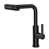 Смеситель для кухни с выдвижной лейкой RUSH Тинос (Tinos) (TI3732-18Black)