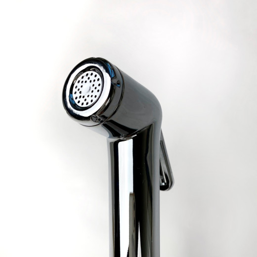 Смеситель для раковины Paini Viva Style с гигиеническим душем