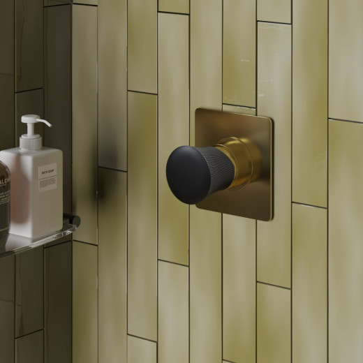 Смеситель для душа Paini Domus встраиваемый, матовое золото PVD