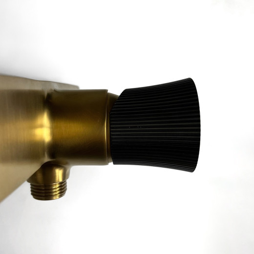 Смеситель для душа Paini Domus, матовое золото PVD