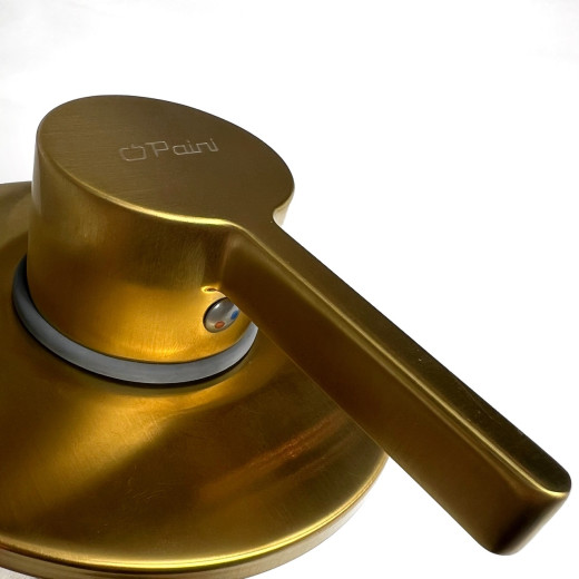 Смеситель для душа Paini Brera встраиваемый, матовое золото PVD