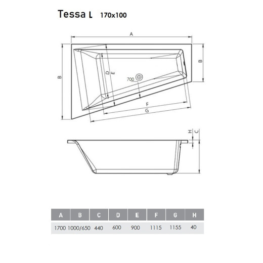 Ванна акриловая Vayer Tessa L 170х100