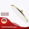 Тропический душ ∅250мм RAGLO R451.50.03