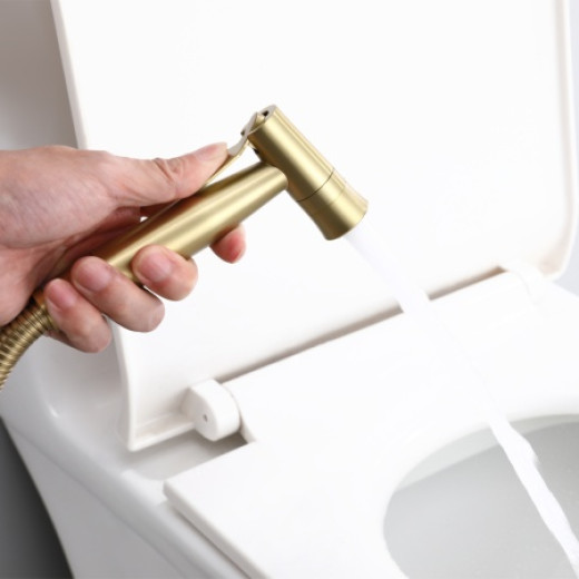 Смеситель встраиваемый с гигиеническим душем RAGLO R10.52.03