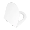 Сидение для унитаза VitrA Nest 220-003R409 с микролифтом